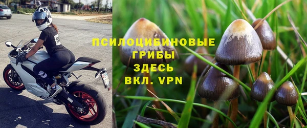 трава Баксан