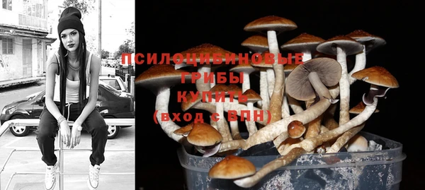 трава Баксан