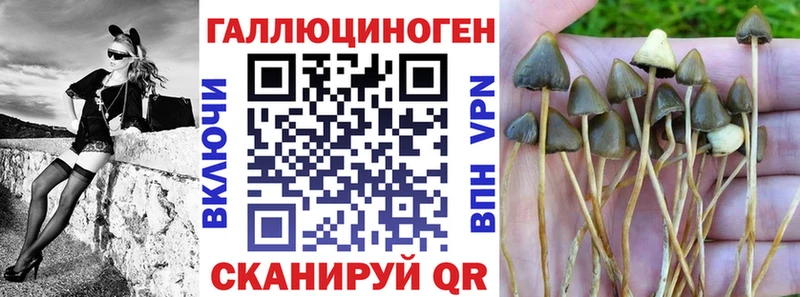 Галлюциногенные грибы GOLDEN TEACHER  Выкса 